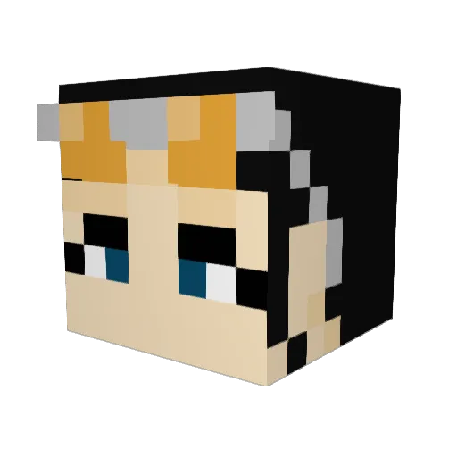 Mintspider Minecraft avatar head, 3D render