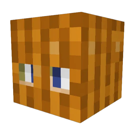 Mintstorm Minecraft avatar head, 3D render