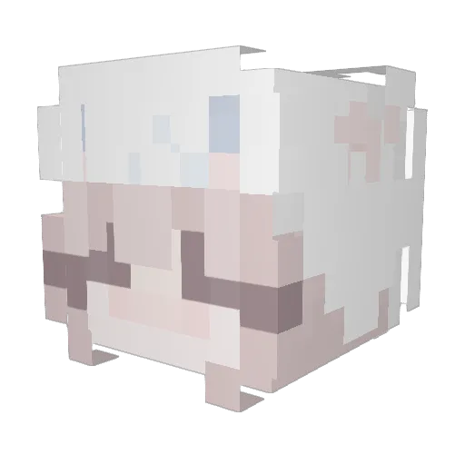 Minttea1245 Minecraft avatar head, 3D render