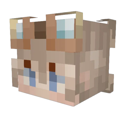 MintyMellow Minecraft avatar head, 3D render