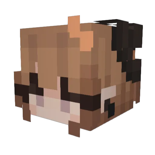 MintyNova_ Minecraft avatar head, 3D render