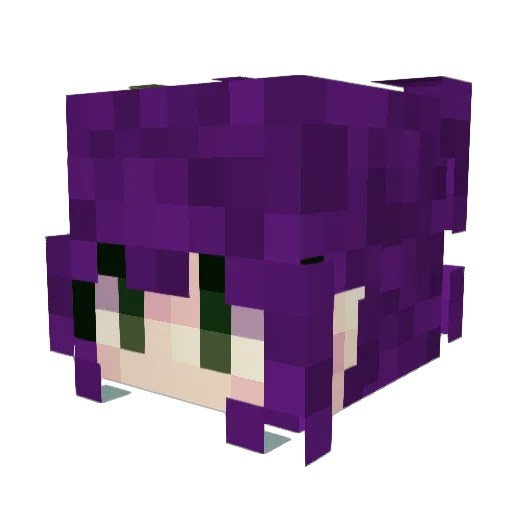 MintySalt Minecraft avatar head, 3D render