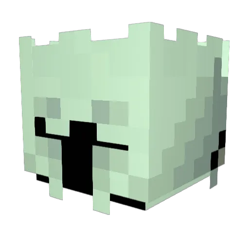Minty_AF Minecraft avatar head, 3D render