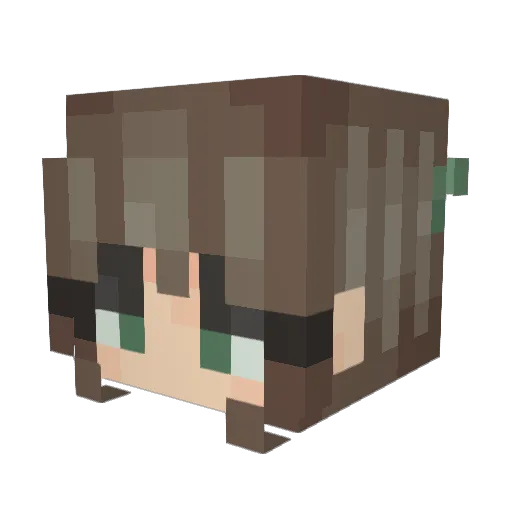 Minty_fresh3 Minecraft avatar head, 3D render