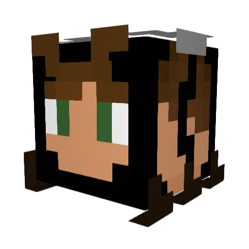 Mintyhippo25 Minecraft avatar head, 3D render