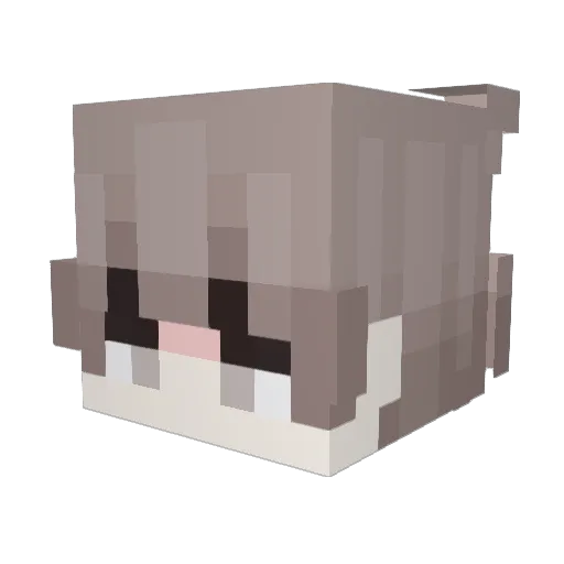 Minun217 Minecraft avatar head, 3D render
