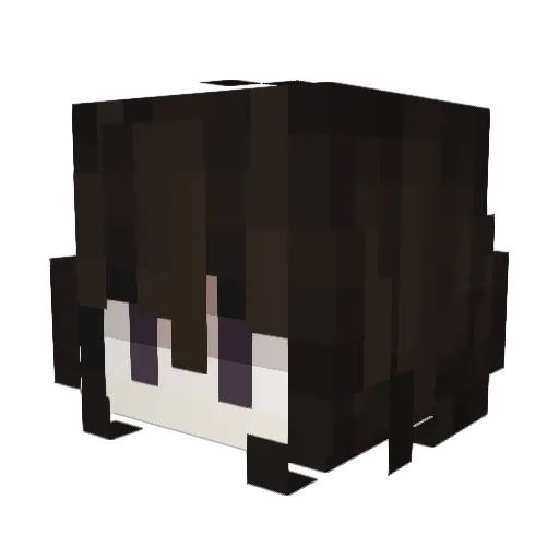 MinusInverted Minecraft avatar head, 3D render