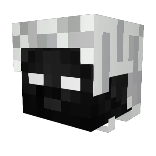 MinuteLarpYT Minecraft avatar head, 3D render