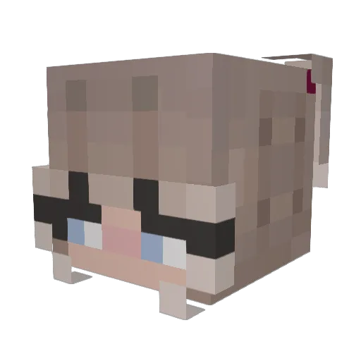 MinutraLaix Minecraft avatar head, 3D render