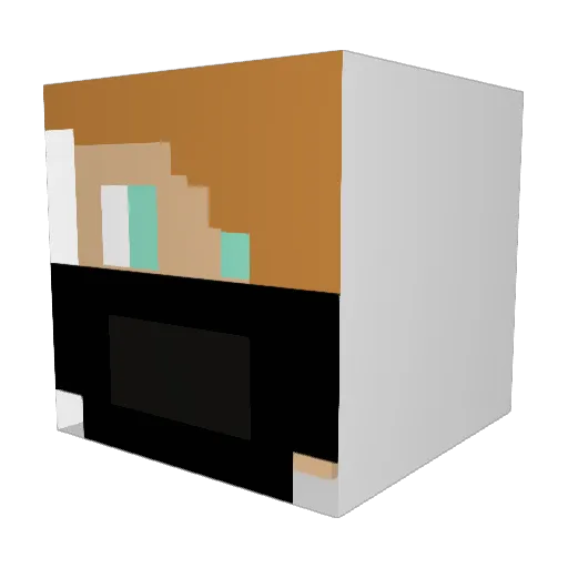 MinxNobody Minecraft avatar head, 3D render