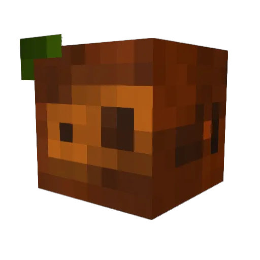 MioMioMi Minecraft avatar head, 3D render