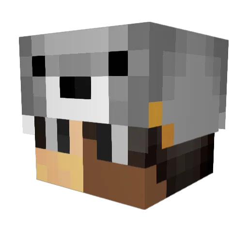 MioPiedPiper Minecraft avatar head, 3D render