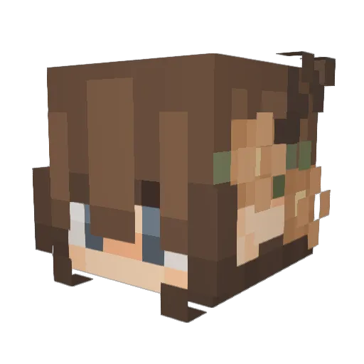 Miodzik2012 Minecraft avatar head, 3D render