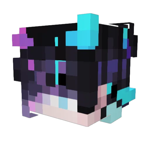 Miodzik69 Minecraft avatar head, 3D render