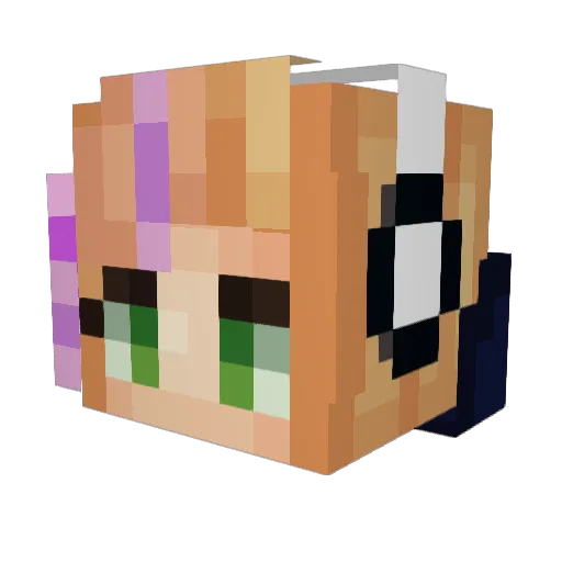 Miowser Minecraft avatar head, 3D render