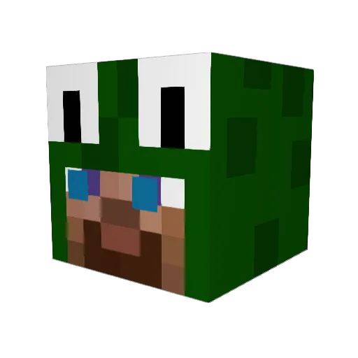 Mippo11 Minecraft avatar head, 3D render