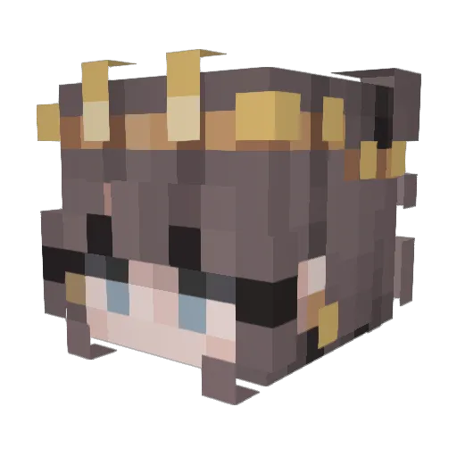 Mira00 Minecraft avatar head, 3D render