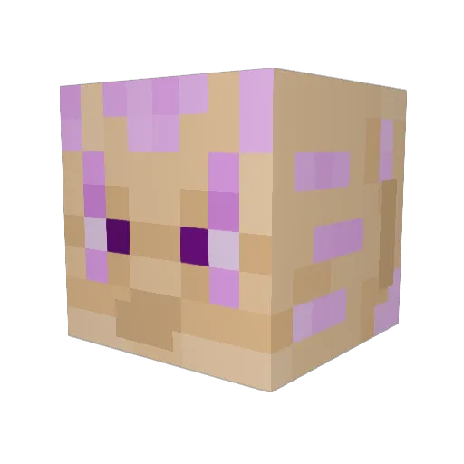MiraBronx Minecraft avatar head, 3D render