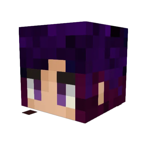 MiraMage Minecraft avatar head, 3D render