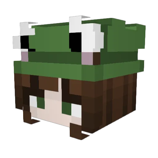 MiraMiku27 Minecraft avatar head, 3D render
