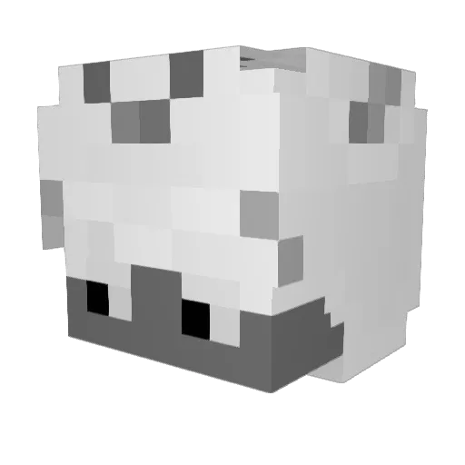 Miracc Minecraft avatar head, 3D render