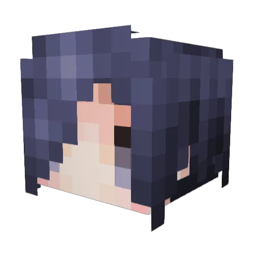 Miracle66 Minecraft avatar head, 3D render