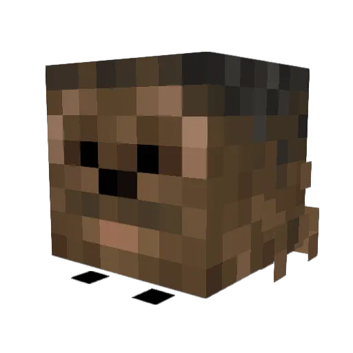 Miracle_Max_11 Minecraft avatar head, 3D render