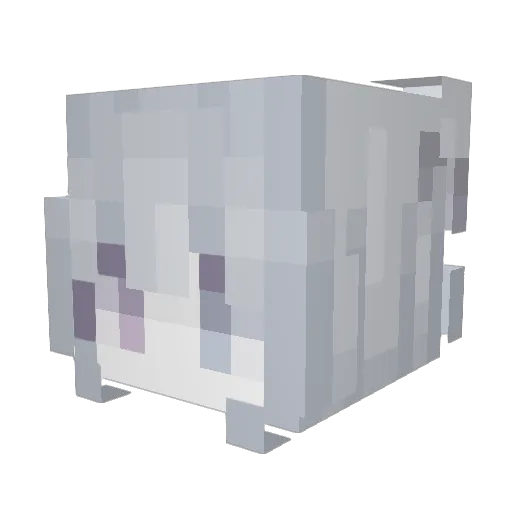 Miracle_Yang_ Minecraft avatar head, 3D render