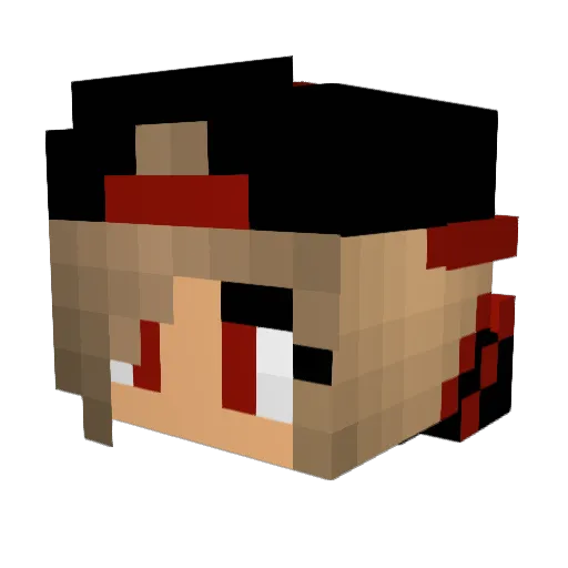 Miraclecat5 Minecraft avatar head, 3D render