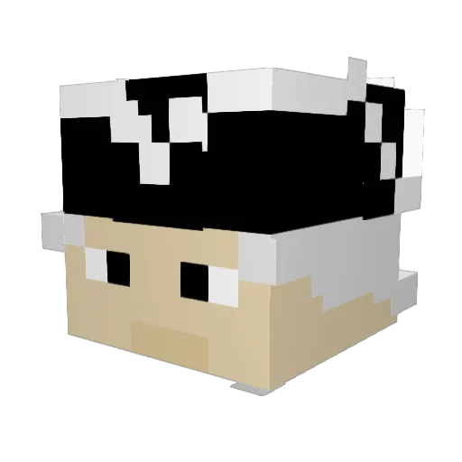 MiraclesFLA Minecraft avatar head, 3D render