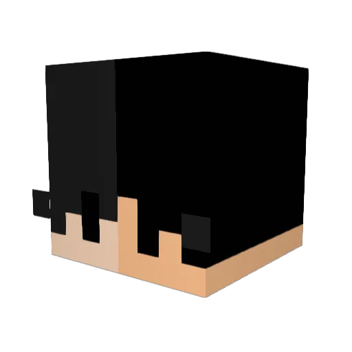 MiraclezMatter Minecraft avatar head, 3D render