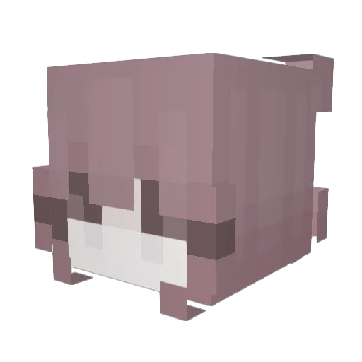Miraitowas Minecraft avatar head, 3D render