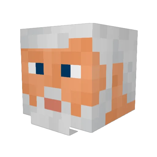 Mirak52 Minecraft avatar head, 3D render