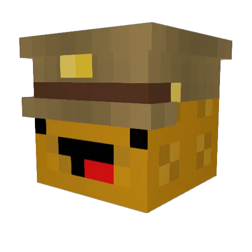 MirakAndWall Minecraft avatar head, 3D render