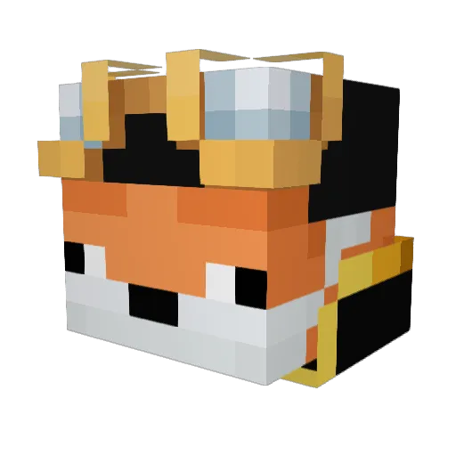 MiralFox666 Minecraft avatar head, 3D render