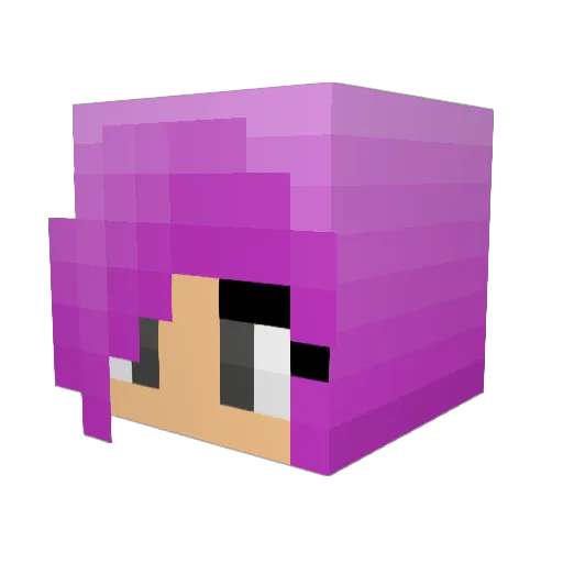 MirandaWG Minecraft avatar head, 3D render