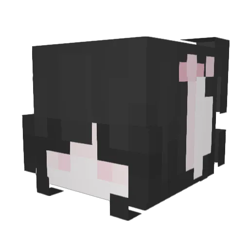 Miraxyz Minecraft avatar head, 3D render