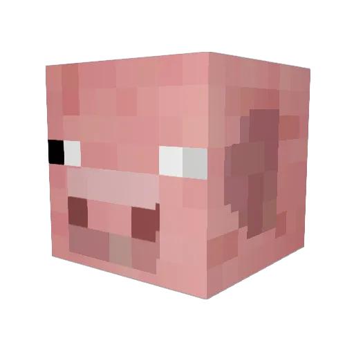 Miraybby Minecraft avatar head, 3D render