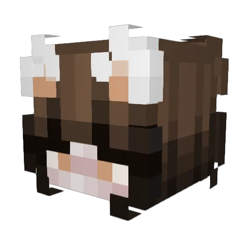 Mirdaa Minecraft avatar head, 3D render
