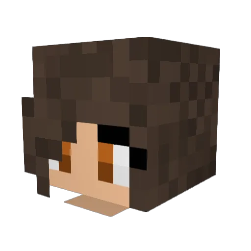 Mirdjem Minecraft avatar head, 3D render