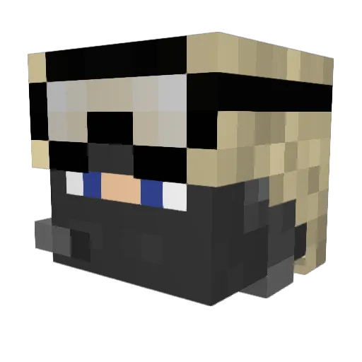 Mire1912 Minecraft avatar head, 3D render