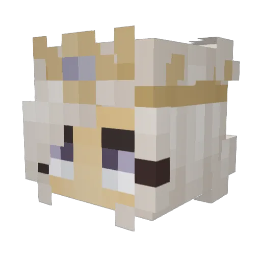Miremaren Minecraft avatar head, 3D render