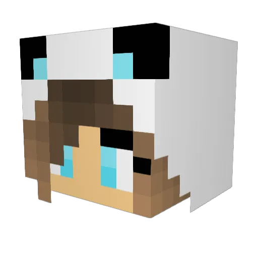 MiriMiner Minecraft avatar head, 3D render