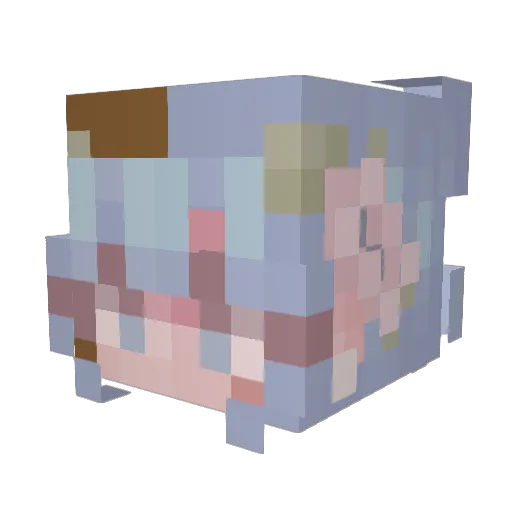 Miri_myri Minecraft avatar head, 3D render