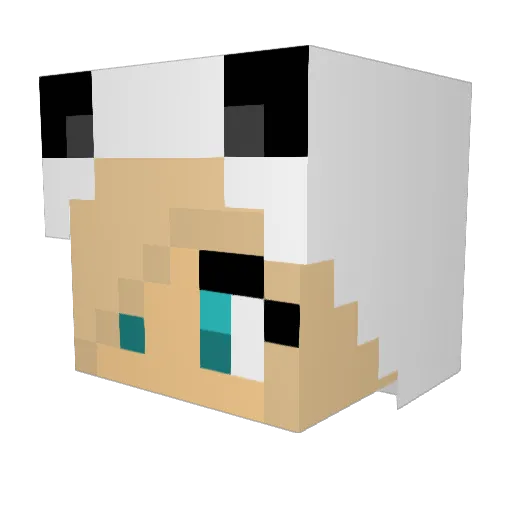 Miriam1001 Minecraft avatar head, 3D render