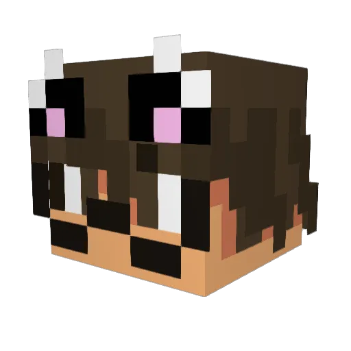 MirkanPalaz Minecraft avatar head, 3D render