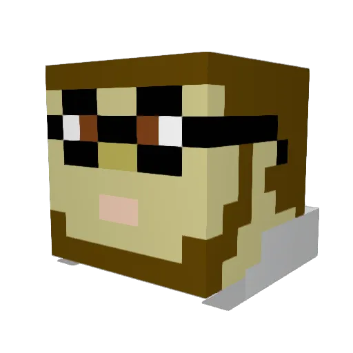 Miro2294 Minecraft avatar head, 3D render