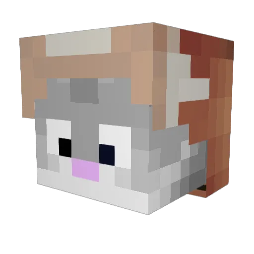 Miroljub Minecraft avatar head, 3D render