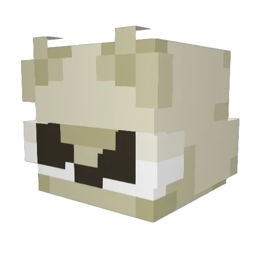 Mirran625 Minecraft avatar head, 3D render