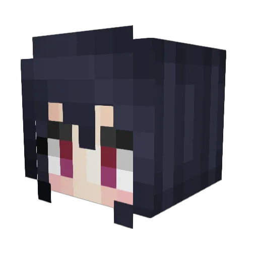 MirrorMaster Minecraft avatar head, 3D render